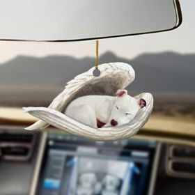 Car Pendant Sleeping Dog Angel Home Decor Acrylic Showcase Hanging Ornaments For Doors (Option: 12Style)